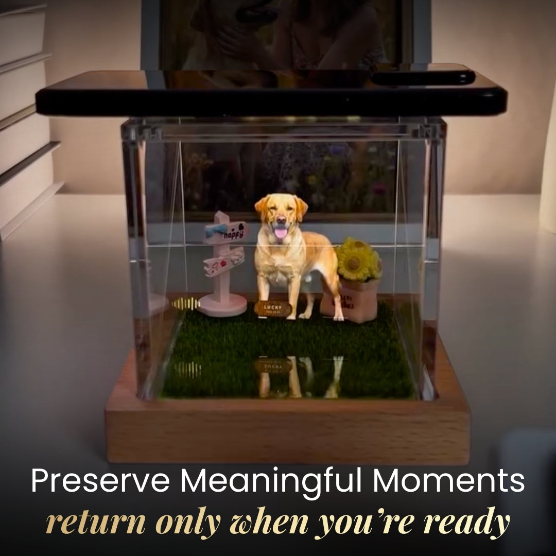 Hologram Box (using Kaeri's Method)