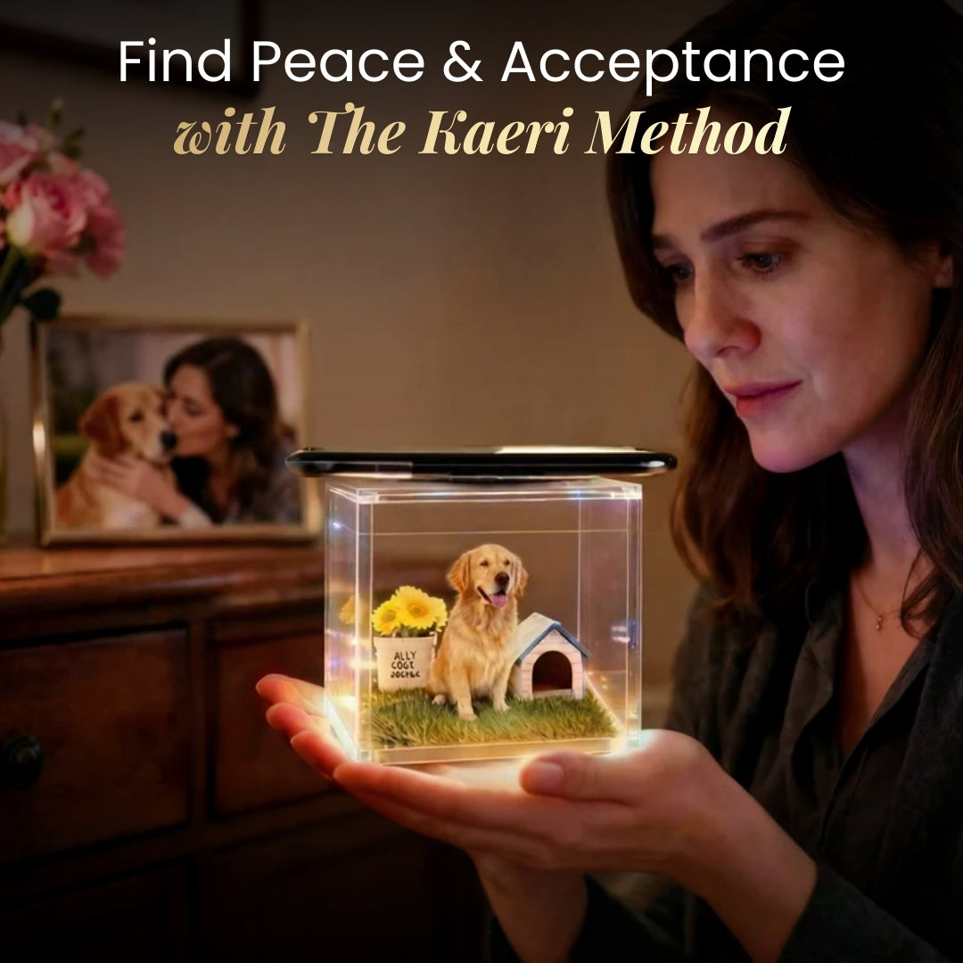 Hologram Box (using Kaeri's Method)