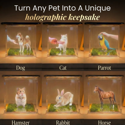 Hologram Box (using Kaeri's Method)